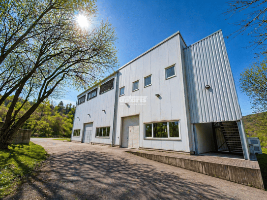 Lagerhalle zum Kauf 350.000 € 3.816 m² Lagerfläche Creuzburg 99831