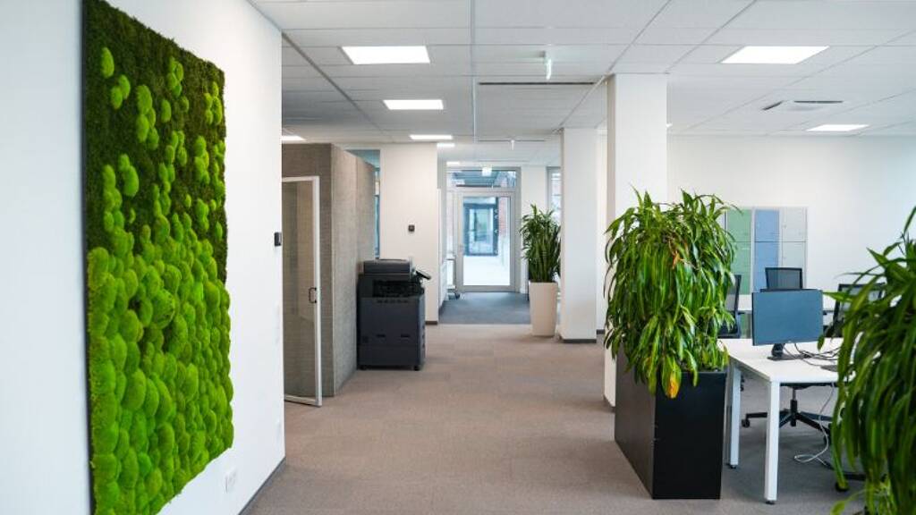 Bürofläche zur Miete provisionsfrei 199 € 4 m² Bürofläche Alfred-Nobel-Str. Frechen 50226