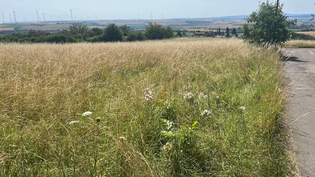 Freizeitgrundstück zum Kauf als Kapitalanlage geeignet 279.000 € 4.519 m² Grundstück Kirchheimbolanden 67292