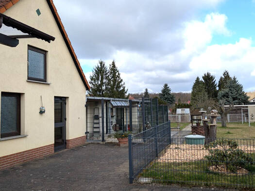 Doppelhaushälfte zum Kauf 219.000 € 106,1 m² 708 m² Grundstück Zschornewitz 06772