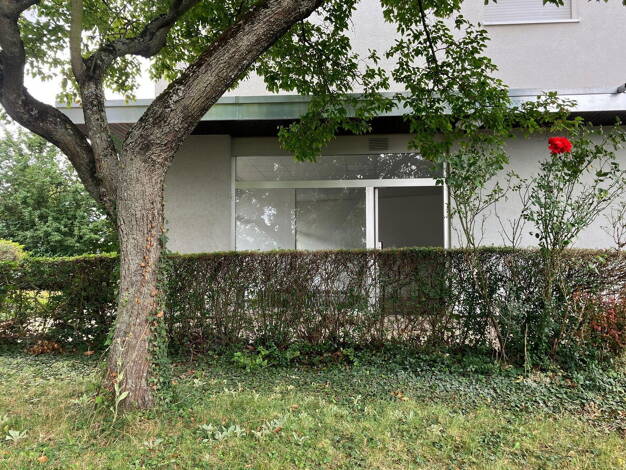 Wohnung zum Kauf provisionsfrei 319.000 € 2,5 Zimmer 62 m² EG Hohenheimer Str. 11 Leinfelden 70771