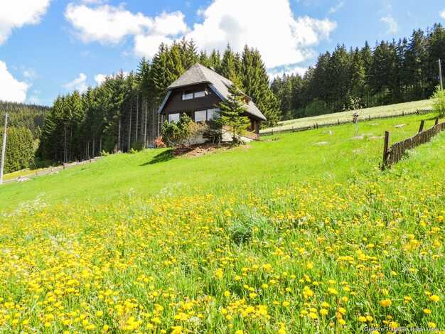 Haus zum Kauf 749.000 € 3 Zimmer 101 m² 1.482 m² Grundstück Titisee Titisee-Neustadt 79822