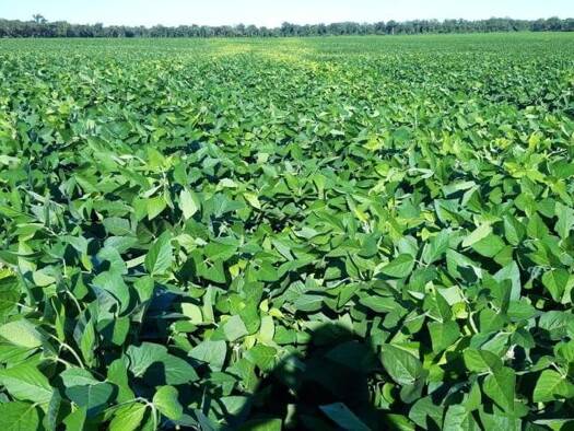 Landwirtschaftliche Fläche zum Kauf als Kapitalanlage geeignet 24.500.000 $ 175.000.000 m² 175.000.000 m² Grundstück Agua Dulce 03