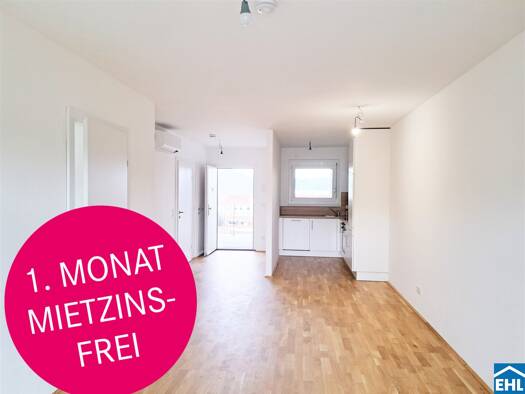 Wohnung zur Miete 571 € 2 Zimmer 53,9 m² 4. Geschoss frei ab 01.01.2027 Waagner-Biro-Straße Lend Graz 8020