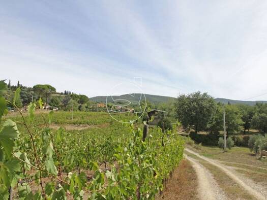 Bauernhaus zum Kauf 1.450.000 € 600 m² 100.000 m² Grundstück Arezzo