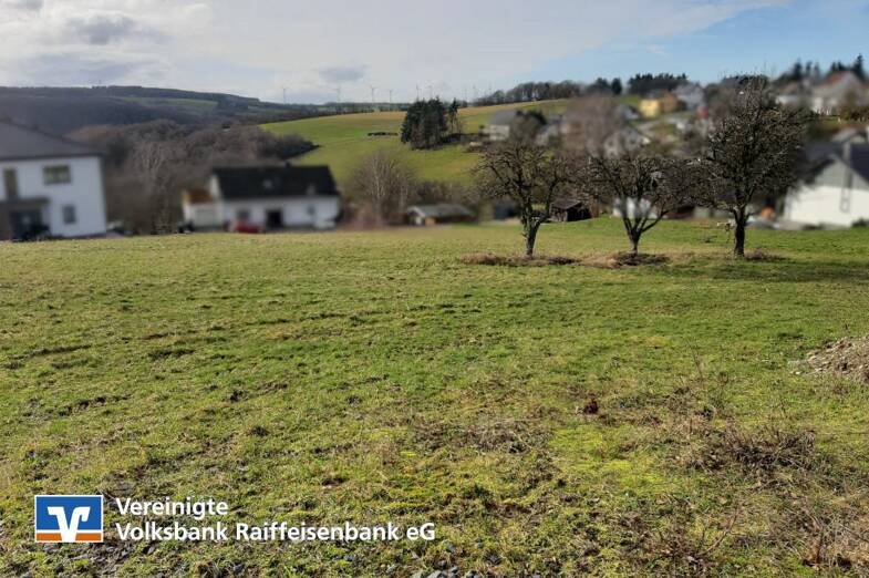 Grundstück zum Kauf 45.364 € 910 m² Grundstück Schönberg 54426