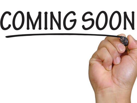 Mehrfamilienhaus zum Kauf 695.000 € 12 Zimmer 350 m² 486 m² Grundstück Altrip 67122