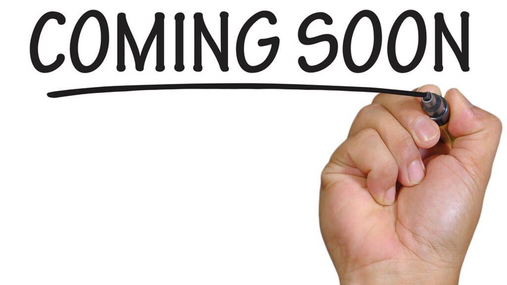 Mehrfamilienhaus zum Kauf 695.000 € 12 Zimmer 350 m² 486 m² Grundstück Altrip 67122