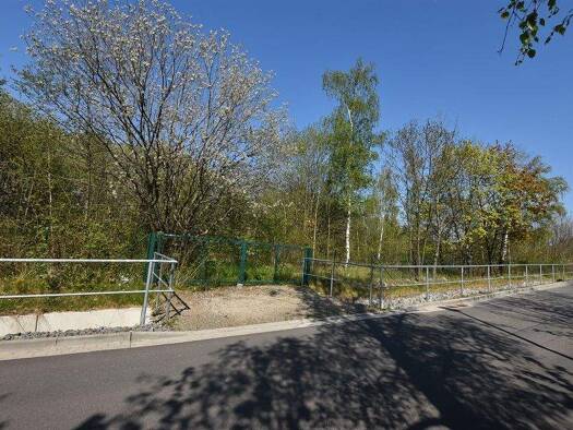 Land-/Forstwirtschaft zum Kauf 80.000 € 8.225 m² Grundstück Ilsenburg Ilsenburg 38871