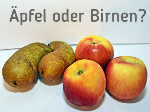 Einfamilienhaus zum Kauf 179.500 € 4 Zimmer 109 m² 2.747 m² Grundstück Marienfeld Müncheberg 15374