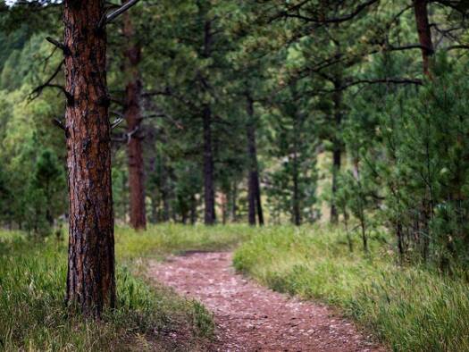 Freizeitgrundstück zum Kauf provisionsfrei 39.900 € 8.054 m² Grundstück Stadt Ibbenbüren 49477