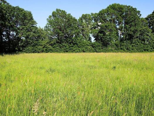 Grundstück zum Kauf 145.000 € 880 m² Grundstück Pöllersdorf Goldkronach 95497
