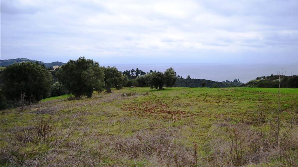Land-/Forstwirtschaft zum Kauf 120.000 € 9.500 m² Grundstück Chalkidiki
