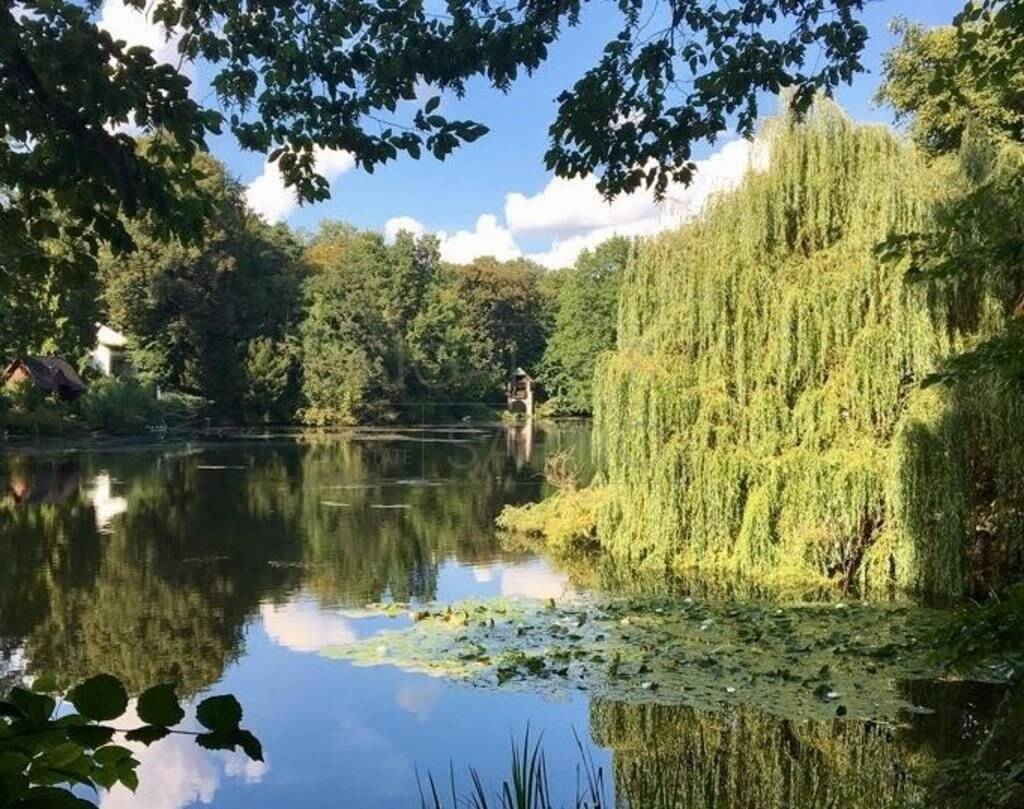 Property thumbnail 16