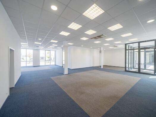 Laden zur Miete provisionsfrei 4 € 160 m² Verkaufsfläche Crimmitschau Crimmitschau 08451