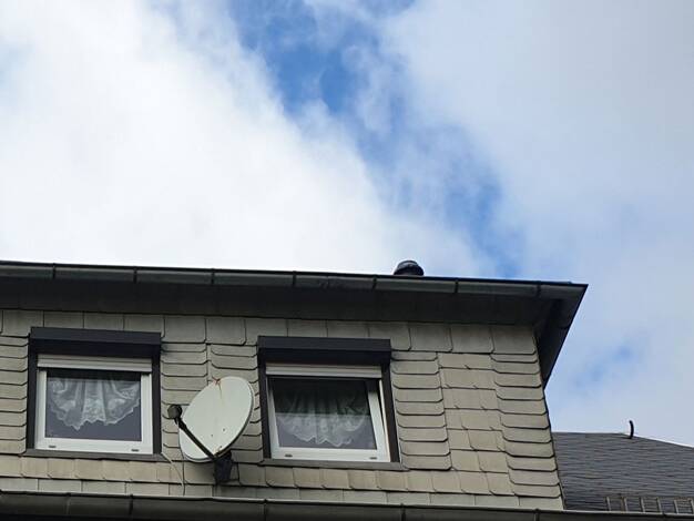 Wohnung zur Miete 220 € 3 Zimmer 47 m² Lipprandiserstr.2 Weidensdorf Remse 08373