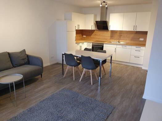 Wohnung zur Miete 750 € 2 Zimmer 53 m² Geschoss EG/3 frei ab 01.11.2026 Künzelsau Künzelsau 74653