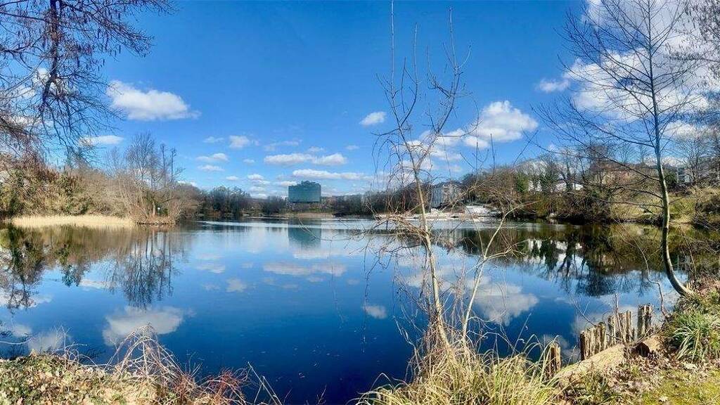 Einfamilienhaus zum Kauf 6.000.000 € 6 Zimmer 450 m² 1.400 m² Grundstück Grunewald Berlin 14193