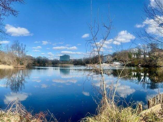 Einfamilienhaus zum Kauf 6.000.000 € 6 Zimmer 450 m² 1.400 m² Grundstück Grunewald Charlottenburg-Wilmersdorf 14193