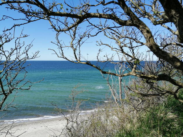 Bungalow zum Kauf provisionsfrei 155.000 € 2 Zimmer 27 m² 595 m² Grundstück Roggow Roggow OT Rerik 18230