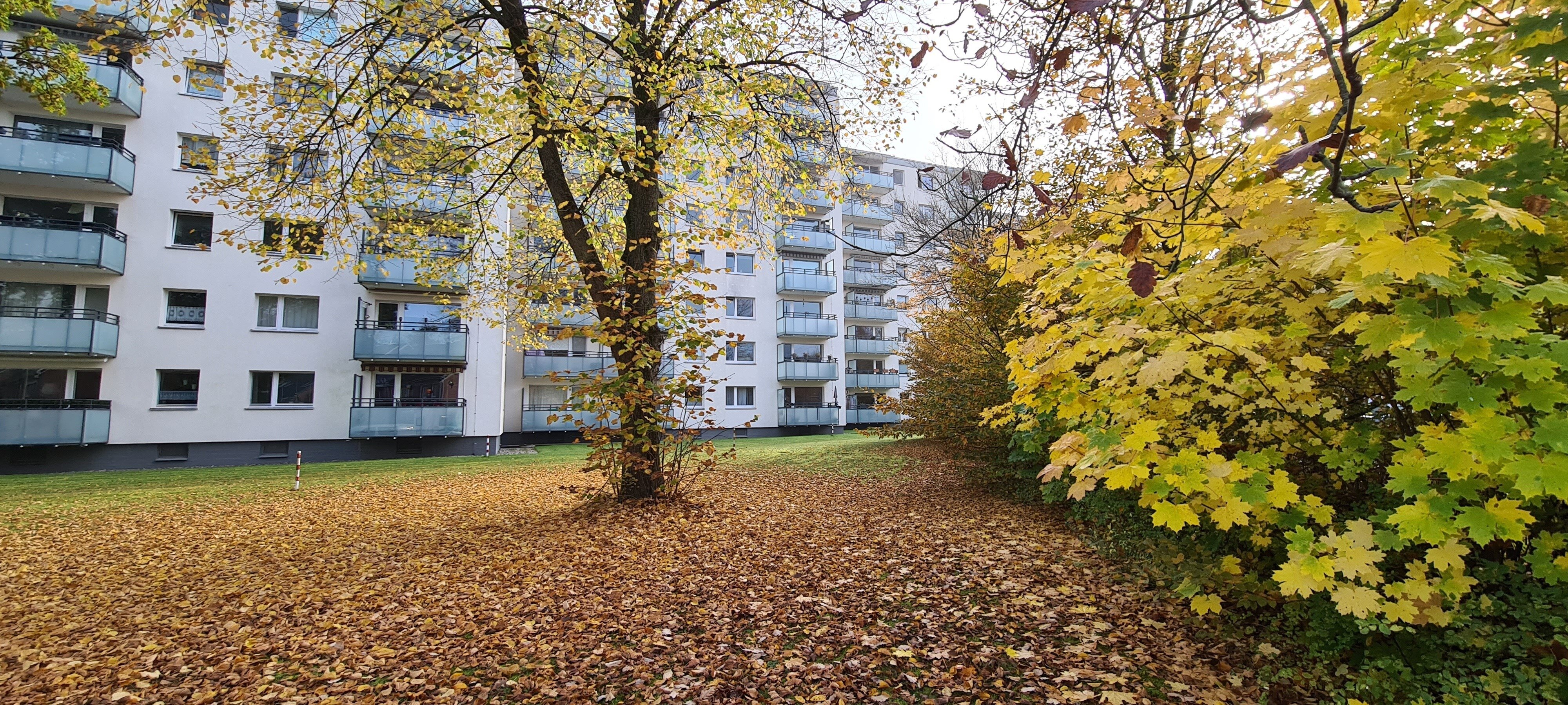 Wohnung zum Kauf provisionsfrei 292.000 € 4 Zimmer 81,7 m²<br/>Wohnfläche 2.<br/>Geschoss Papenmoorweg 23 Halstenbek 25469