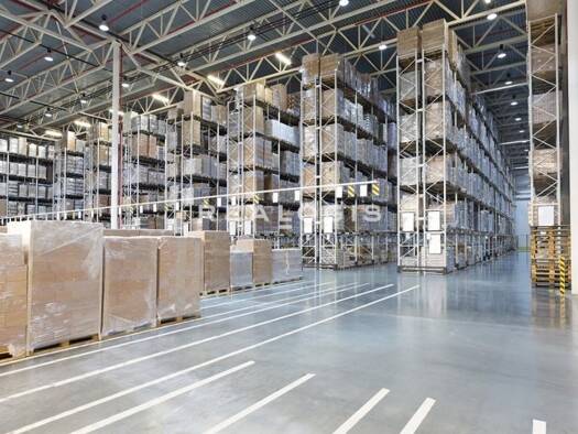 Halle/Industriefläche zur Miete provisionsfrei 10.000 m² Lagerfläche Langenau 89129