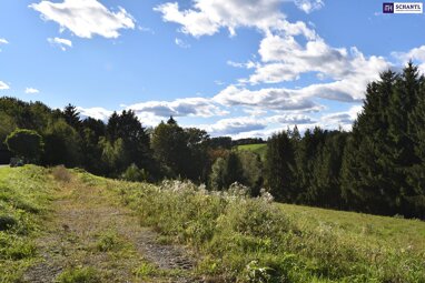 Grundstück zum Kauf 207.000 € 1.010 m² Grundstück Kainbach bei Graz 8301