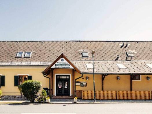 Sonstiges zum Kauf als Kapitalanlage geeignet 590.000 € 398 m² 1.100 m² Grundstück Kaindorf 8430