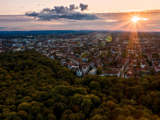 Bürofläche zur Miete provisionsfrei 86,90 € 1 m² Bürofläche teilbar ab 1 m² Groß Buchholz Hannover 30655