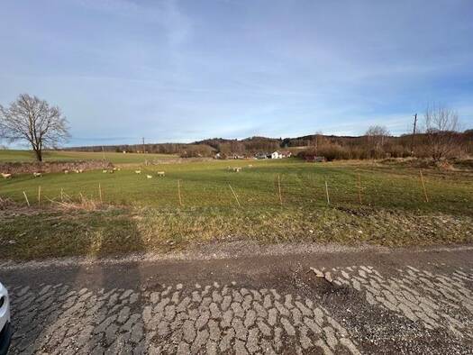 Landwirtschaftliche Fläche zum Kauf 132.000 € 11.000 m² Grundstück Ebersbach Buch 89290