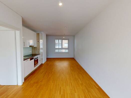 Wohnung zur Miete 538 € 2 Zimmer 47,6 m² 1. Geschoss Strauchergasse 1 Lend Graz 8020