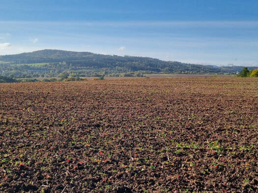 Land-/Forstwirtschaft zum Kauf 195.000.000 CZK Lubenec
