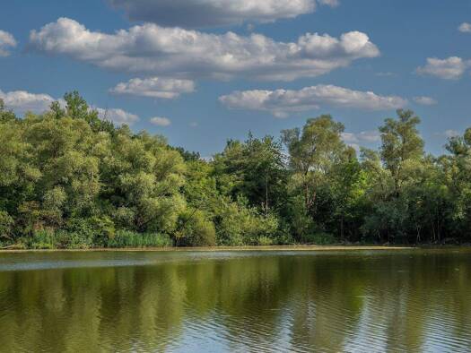 Sonstiges zum Kauf 302.100 m² Grundstück Ovenstädt Petershagen 32469