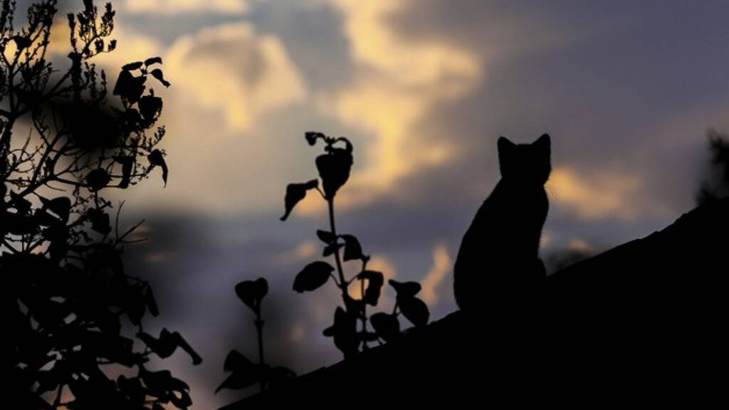 Einfamilienhaus zum Kauf 100.000 € 8 Zimmer 160 m² 5.800 m² Grundstück Urdaneta 2428