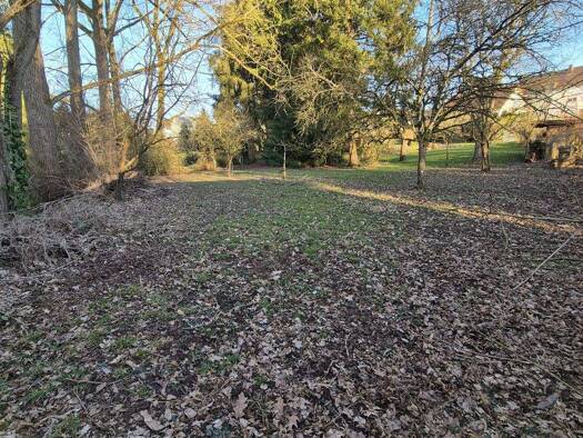 Grundstück zum Kauf 94.300 € 943 m² Grundstück Stennweiler 66578