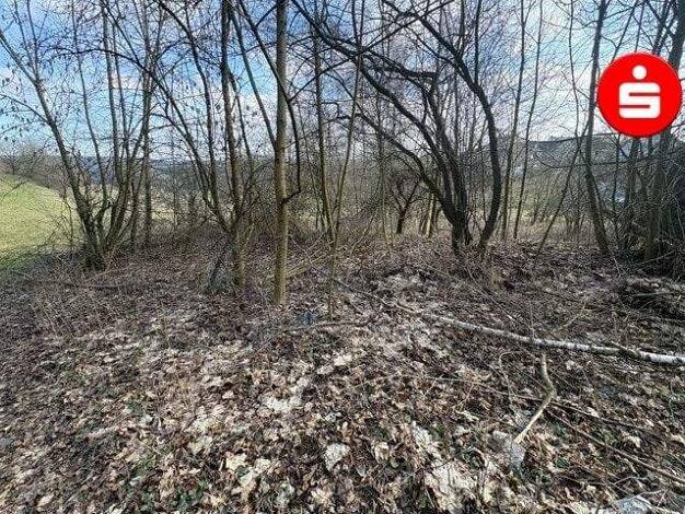 Grundstück zum Kauf 250.000 € 990 m² Grundstück Hegnenberg Altdorf 90518