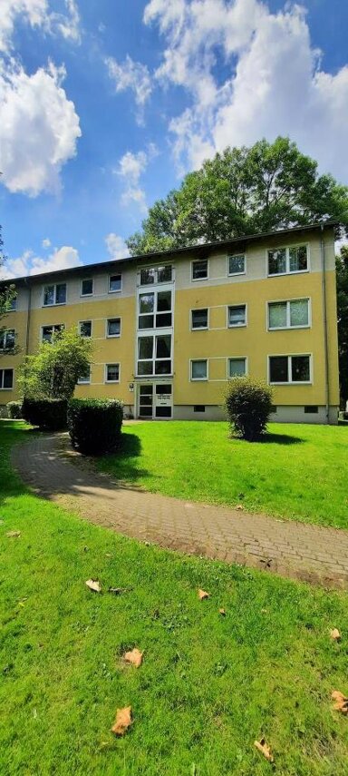 Wohnung zur Miete 433 € 3,5 Zimmer 60 m² 1. Geschoss Julius-Frisch-Straße 21 Bismarck Gelsenkirchen 45889