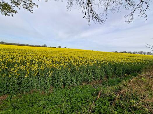 Landwirtschaftliche Fläche zum Kauf als Kapitalanlage geeignet 6.000.000 € 2.000.000 m² Grundstück Waren Waren (Müritz) 17192