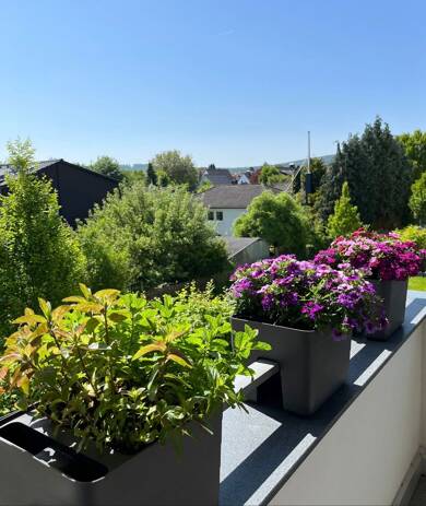 Wohnung zum Kauf provisionsfrei 397.000 € 3 Zimmer 81 m² Wehrheim Wehrheim 61273