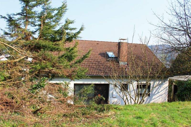 Einfamilienhaus zum Kauf - Ansicht 4