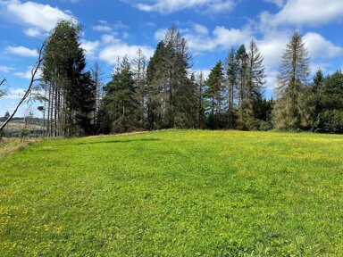 Grundstück zum Kauf 7.000 € 14.861 m² Grundstück Reichenbach Probstzella 07330