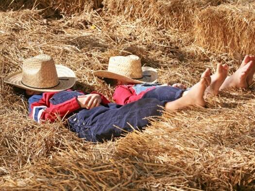 Einfamilienhaus zum Kauf 160.000 € 4 Zimmer 90 m² 1.000 m² Grundstück Escalona Playa 45910