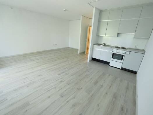 Studio zur Miete 325 € 1 Zimmer 40,9 m² Innenstadt Detmold 32756
