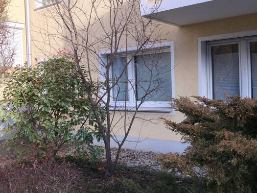 Studio zur Miete 1.190 € 1 Zimmer 41 m² Geschoss EG/4 frei ab sofort Maxvorstadt München 80799