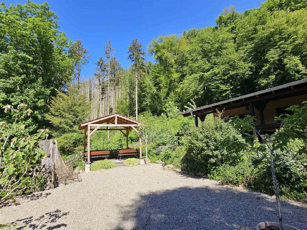 Immobilie in Eltville am Rhein - Wunderschöne Gaststätte Mitten in der Natur: "Waldgaststätte Rausch" inkl. 1-2 Familienhaus - Bild 2