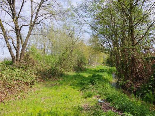 Grundstück zum Kauf provisionsfrei 18.000 € 4.580 m² Grundstück frei ab sofort Genthin Genthin 39307