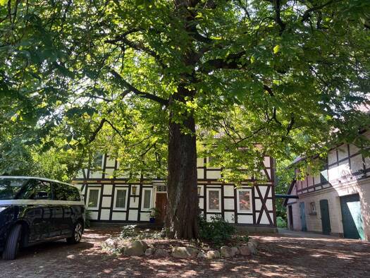 Bauernhaus zur Miete 2.000 € 10 Zimmer 300 m² 3.800 m² Grundstück frei ab 01.10.2026 Söhlde 31185