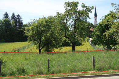 Grundstück zum Kauf 205.000 € 1.022 m² Grundstück Seyboldsdorf Vilsbiburg-Seyboldsdorf 84137