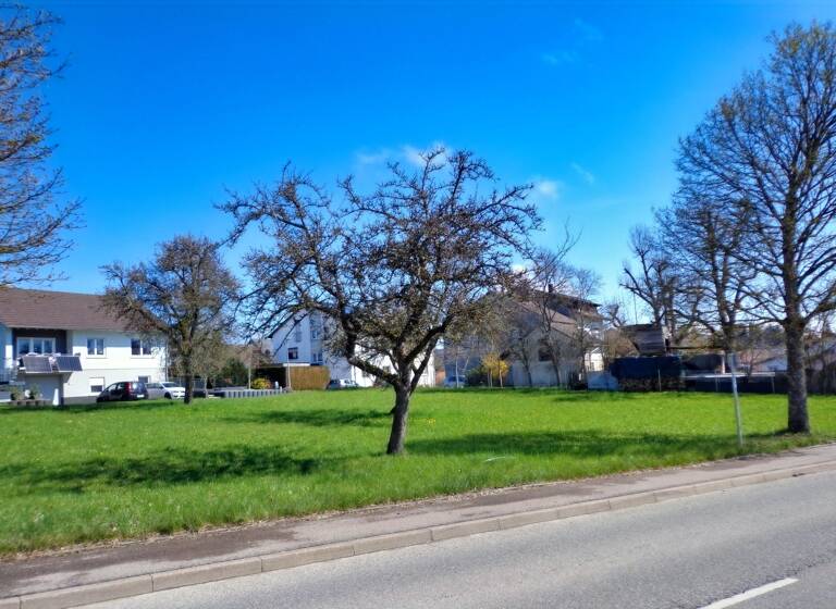 Grundstück zum Kauf 229.000 € 1.396 m²<br/>Grundstück Liptingen Emmingen-Liptingen 78576