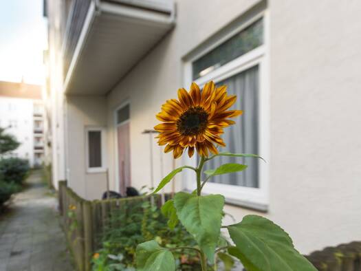 Wohnung zur Miete 500 € 3 Zimmer 73 m² EG Friedrich-Ebert-Straße 89 Geestemünde Bremerhaven 27570